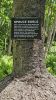 PICTURES/Burntcoat Head Park and Walton Lighthouse/t_Burl Sign.jpg